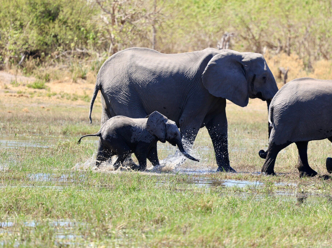 Gondwana Tours & Safaris-马翁必去景点