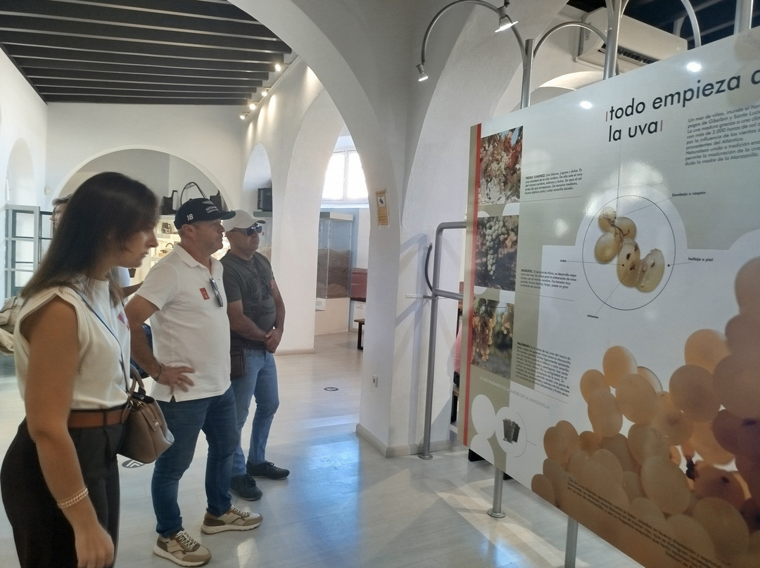 Bodegas Barbadillo-Sanlucar de Barrameda必去景点