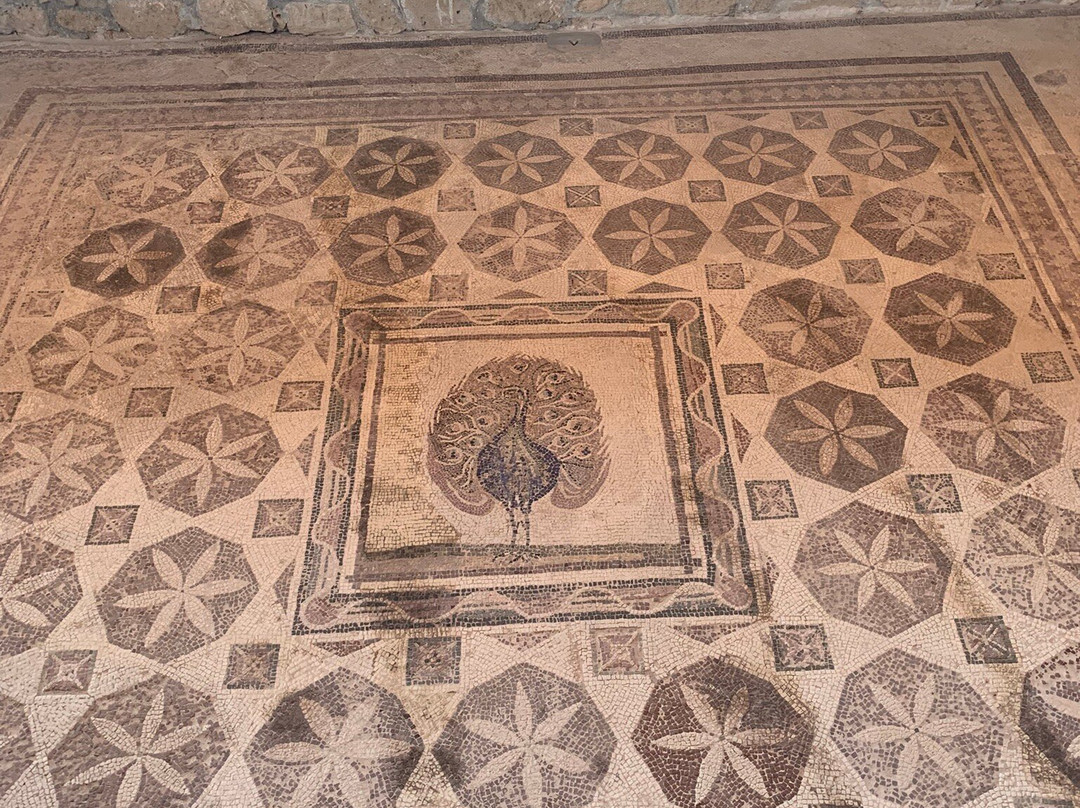 The House Of Dionysus-帕福斯必去景点