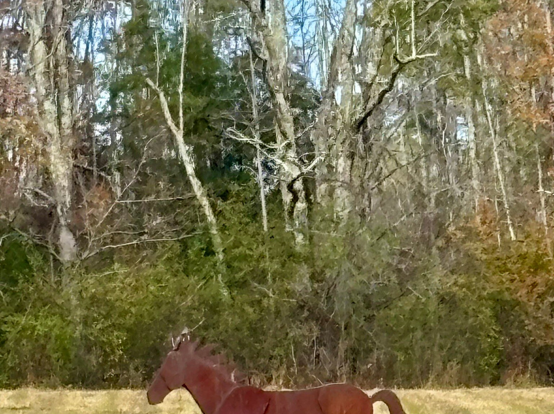 Southern Vermont Arts Center-曼彻斯特必去景点