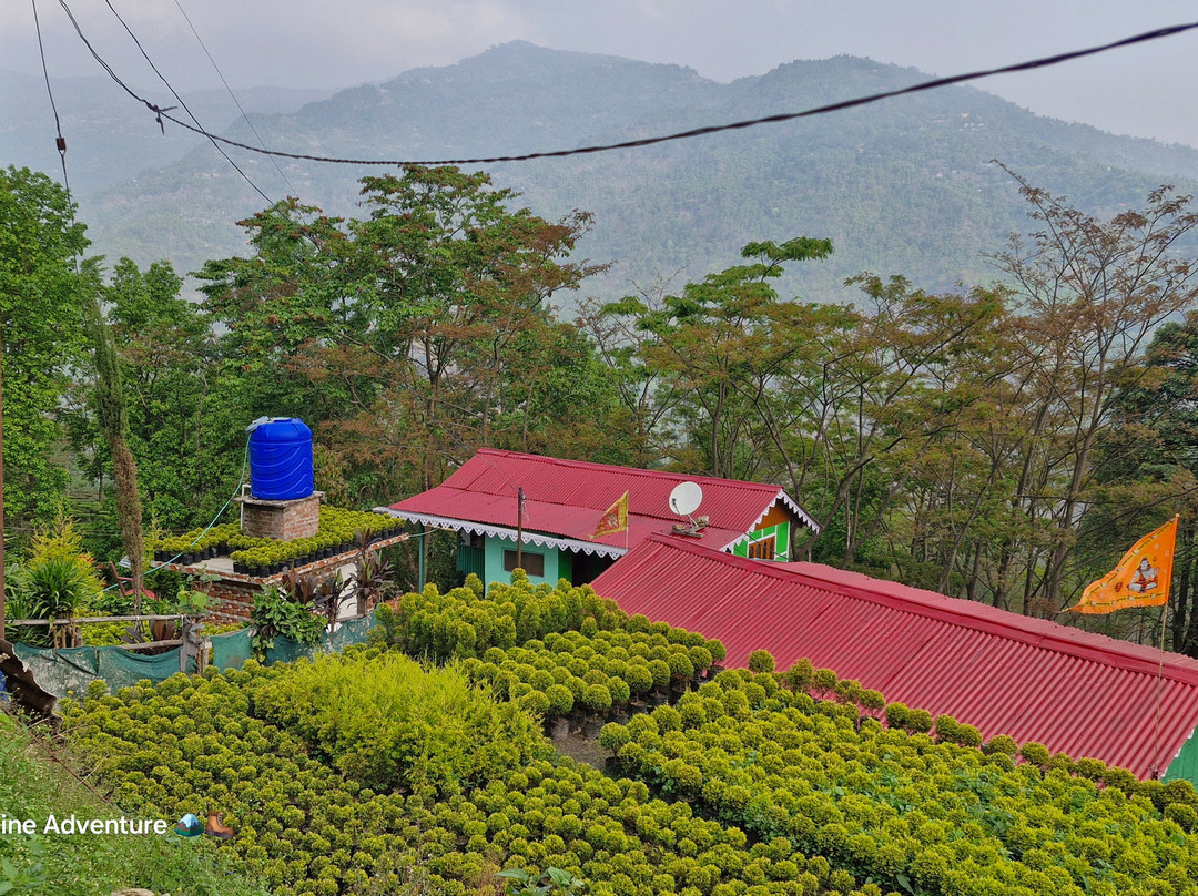 Sashis Botanical Farm House