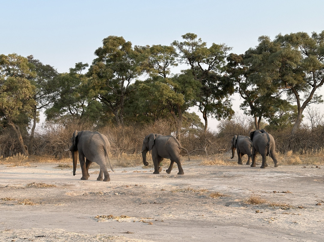 Shipungo Safari & Tours-马翁必去景点