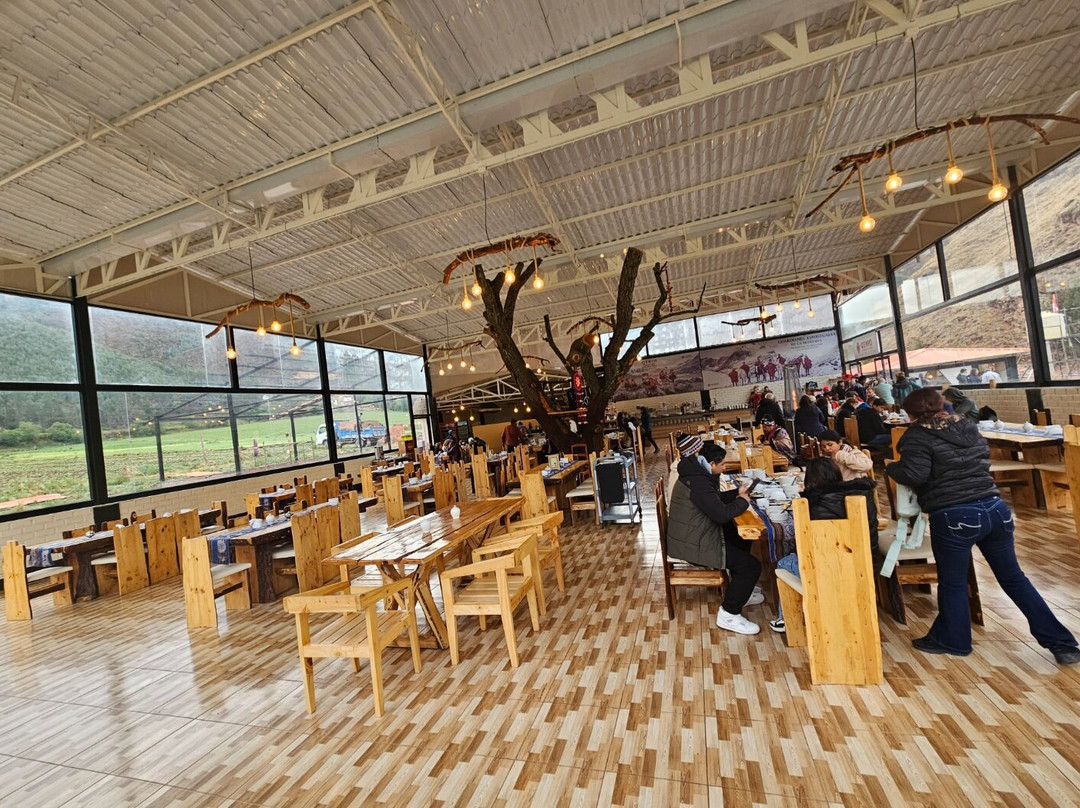 Qempo Experiencia ANDINA-Cusipata必去景点