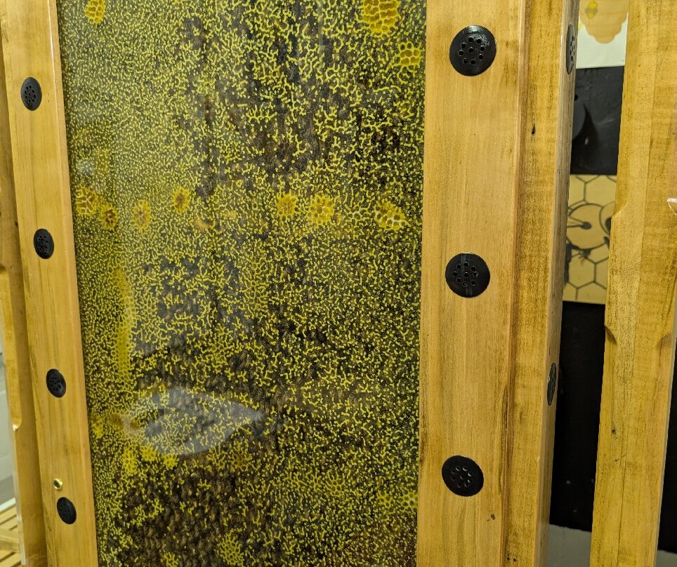 Draper's Super Bee Apiaries-Millerton必去景点