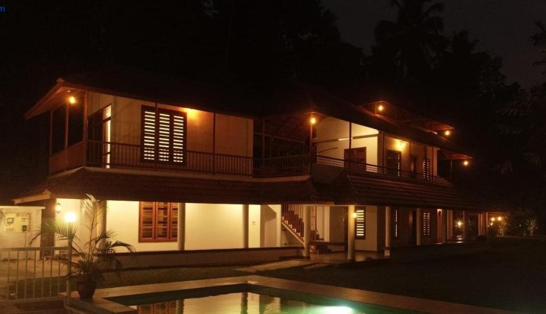 Enchanted Woods