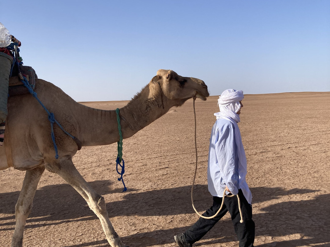 Desert Foum Zguid-Foum Zguid必去景点