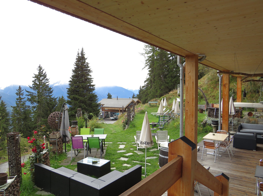 Hotel Waldhaus主图