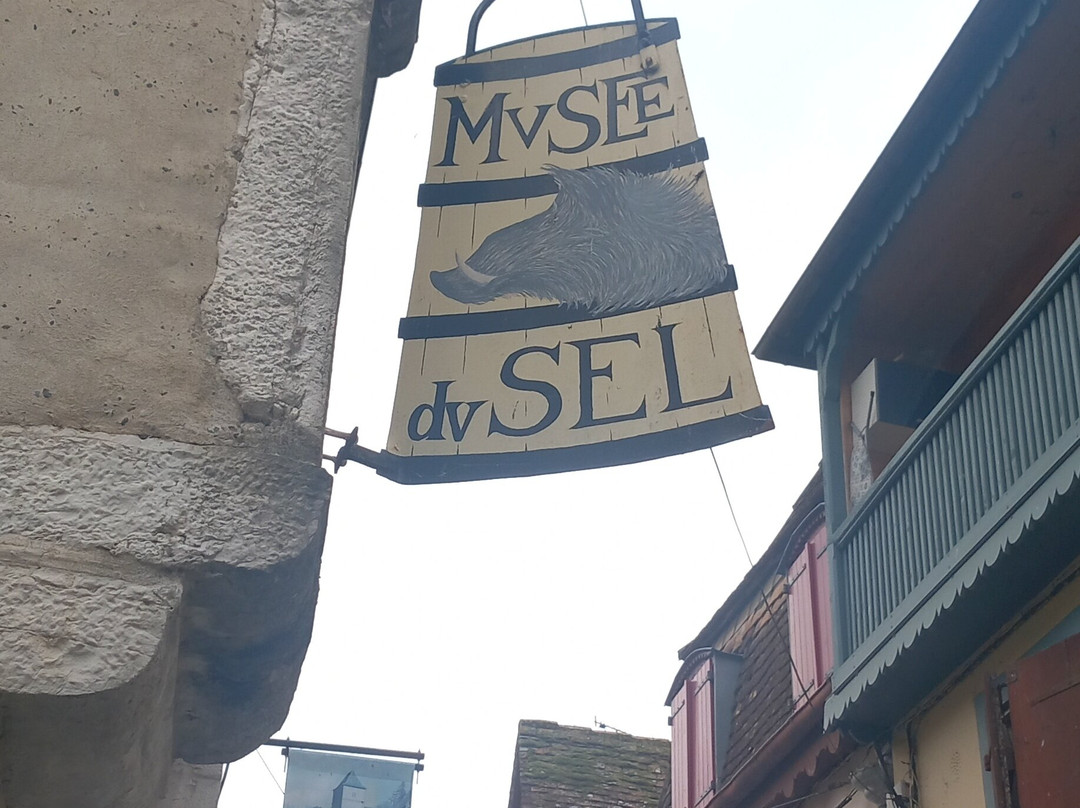 Musee du Sel et des traditions béarnaises-Salies-de-Bearn必去景点