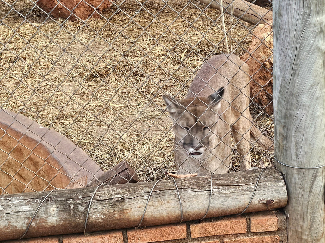 Bio Park-博尼图必去景点