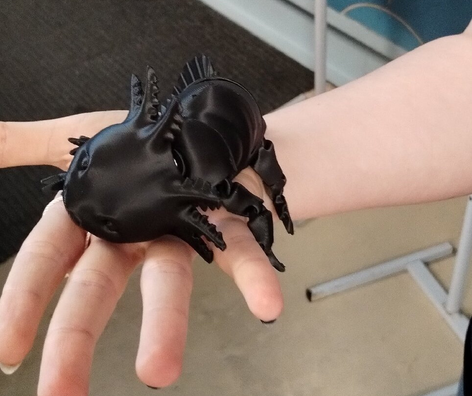 Oceanic Aquarium-康泊琉海水浴场必去景点