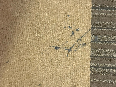 玛格丽特大酒店主图