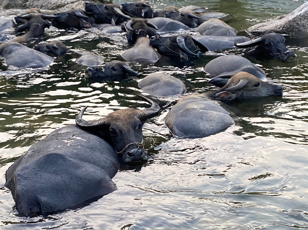 Kalos Tour-Hung Yen必去景点