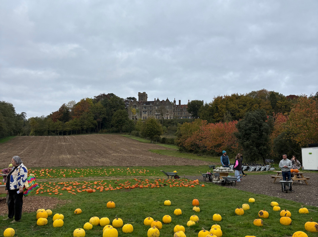 Discovery Land at Priory Farm-Nutfield必去景点