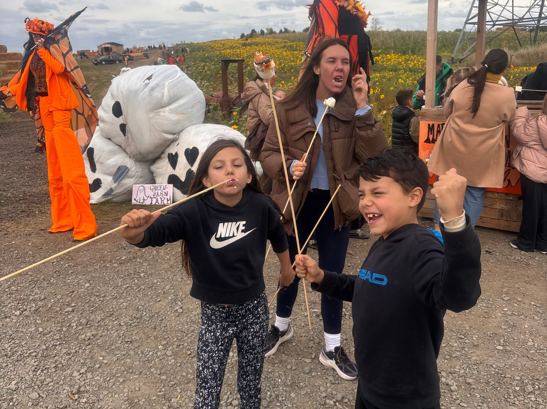 The Green Barn Farm Shop & Cafe-Benfleet必去景点