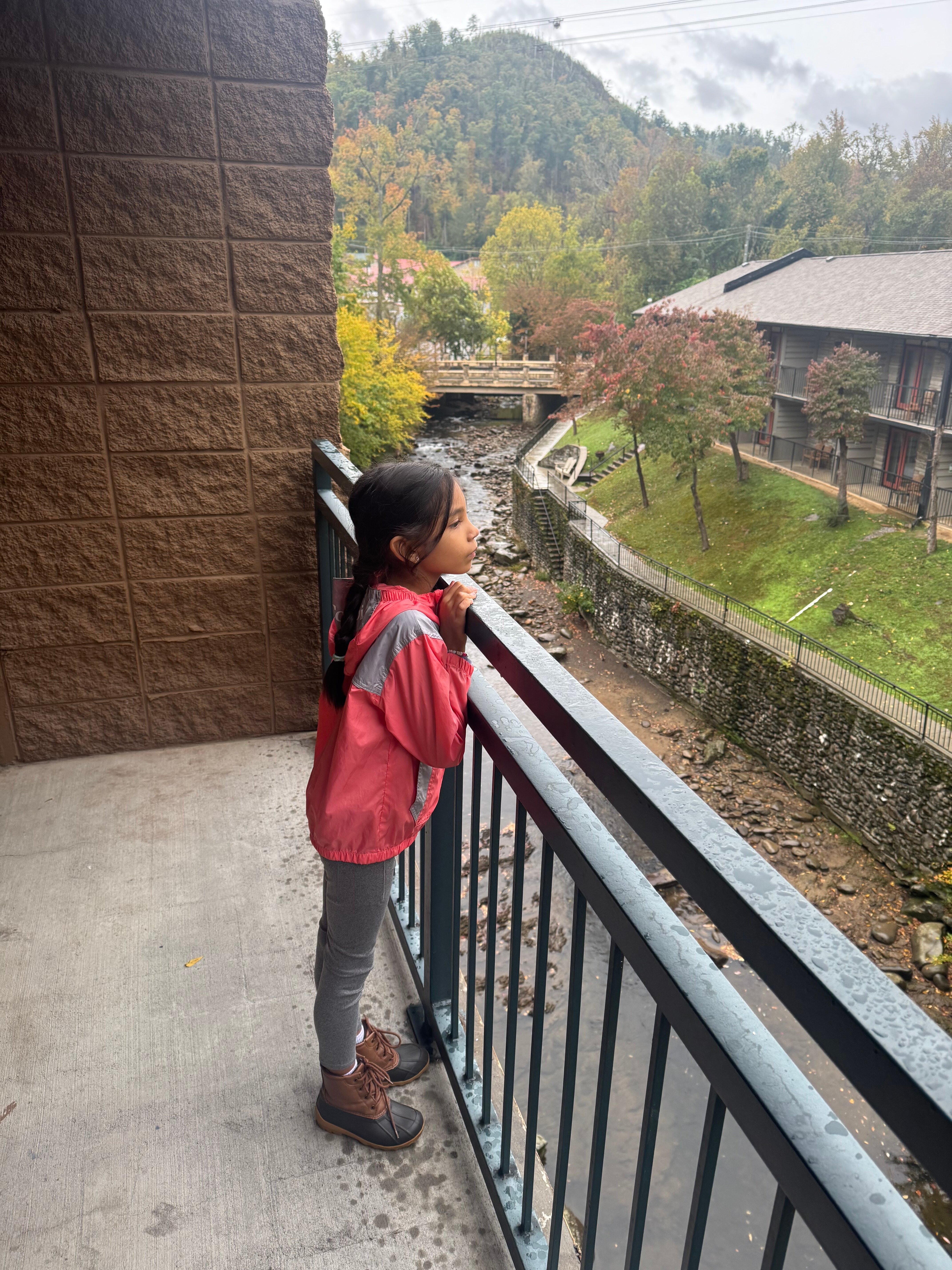 Old Creek Lodge-官方