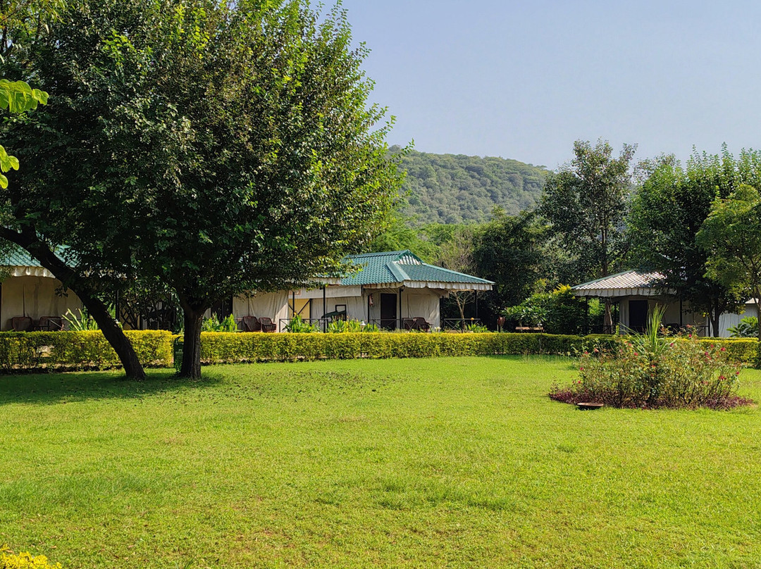 Sariska Tiger Heaven主图