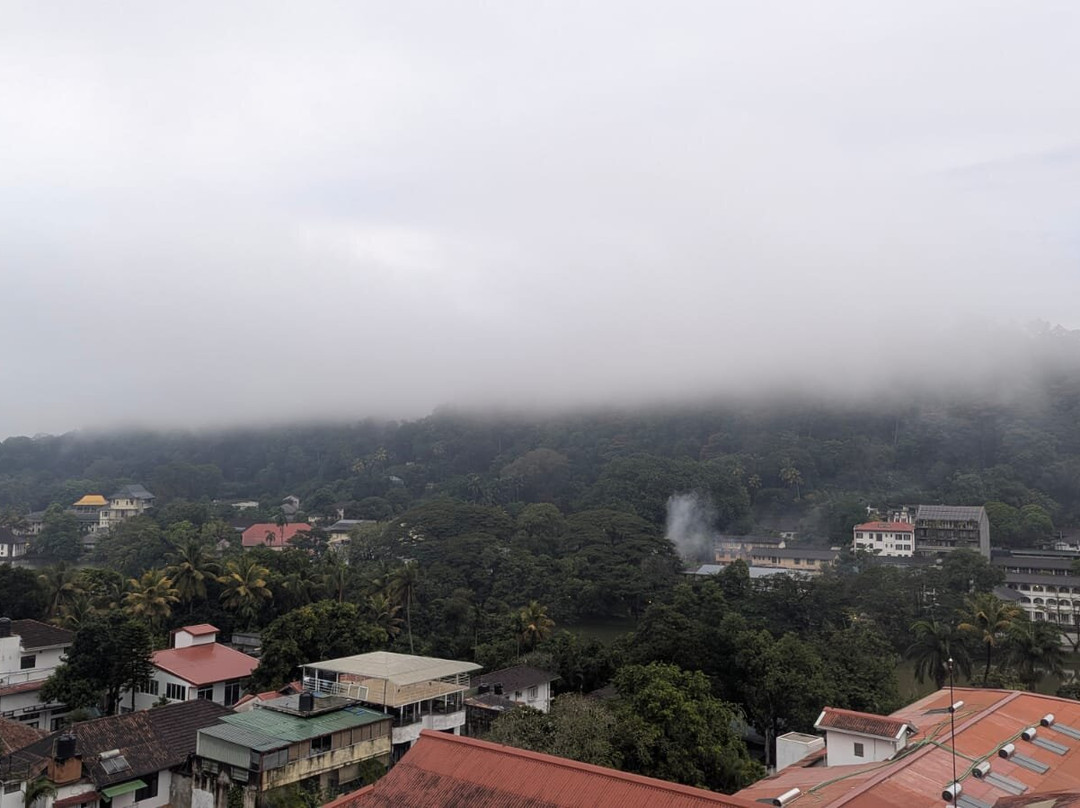 Absolute Lanka Tours-科伦坡必去景点