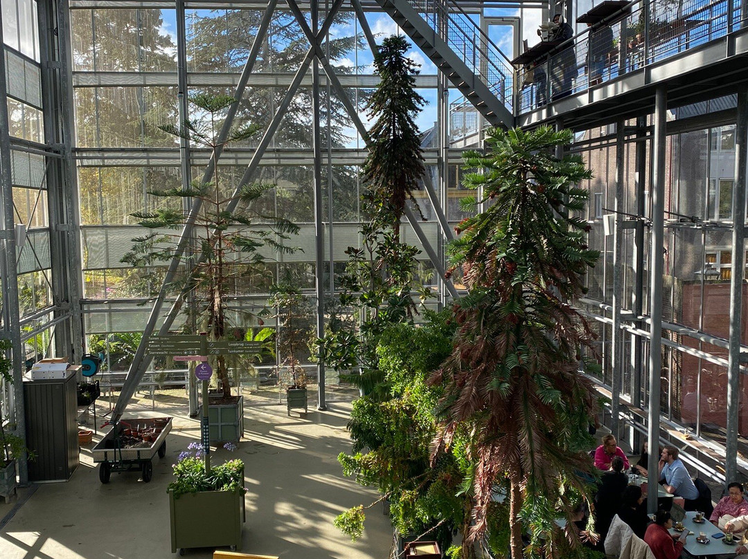 Hortus Botanicus Leiden-莱顿必去景点