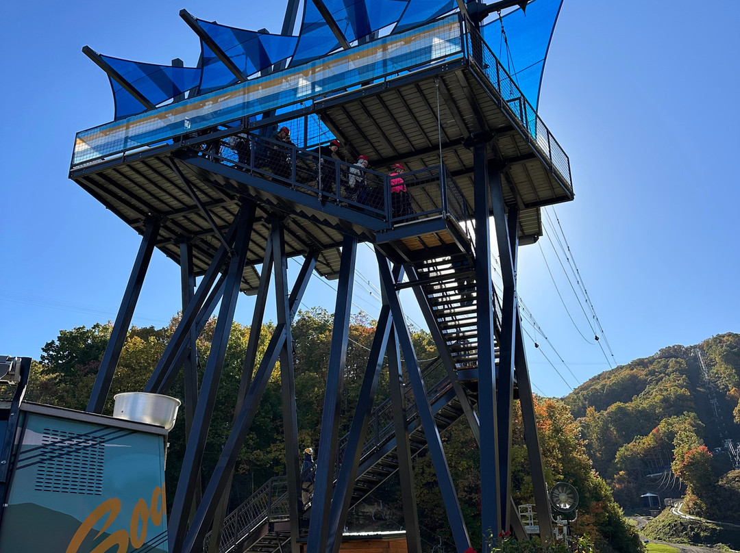 Ober Mountain Raft & Zipline-Hartford必去景点