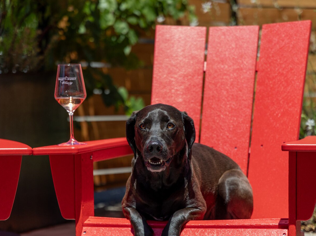 Truett Hurst Winery-希尔兹堡必去景点