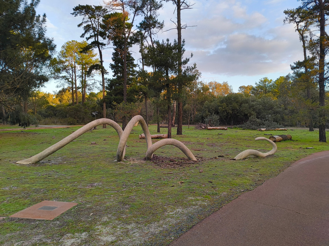 Piney Lakes Ecohub-Winthrop必去景点