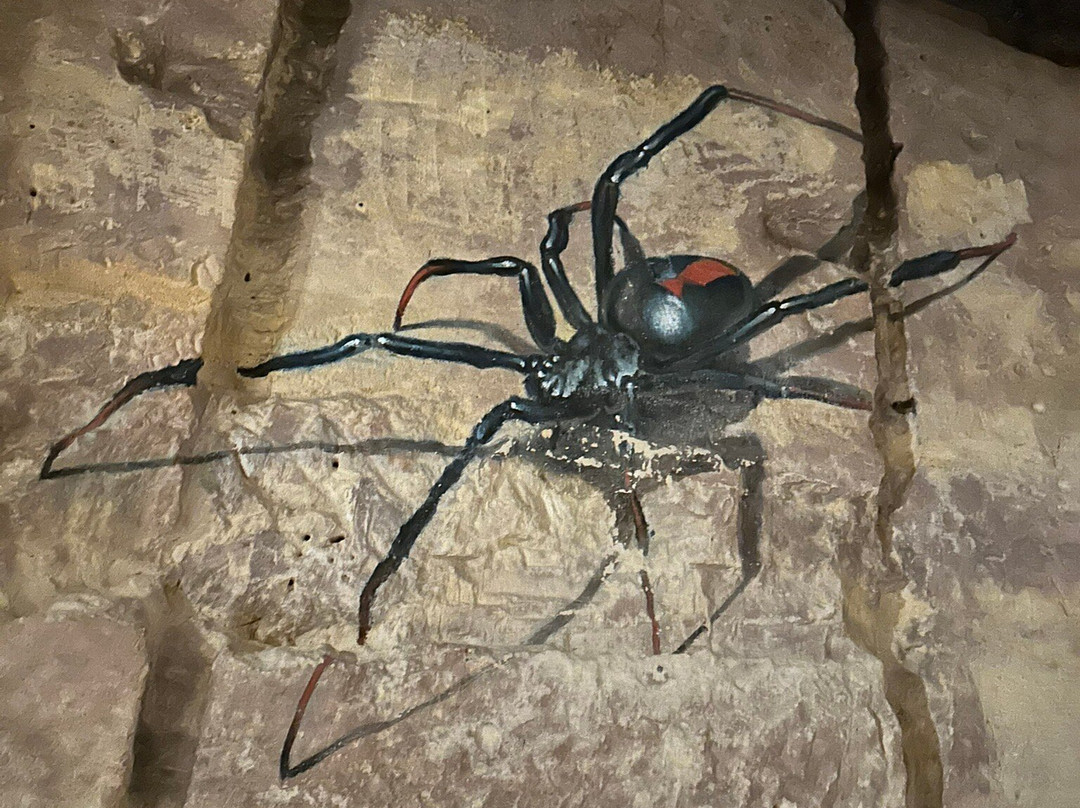 MergelRijk-法肯堡必去景点