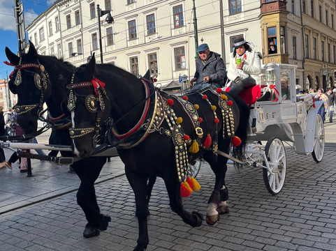 Cracow Free Tours Krakow-克拉科夫必去景点