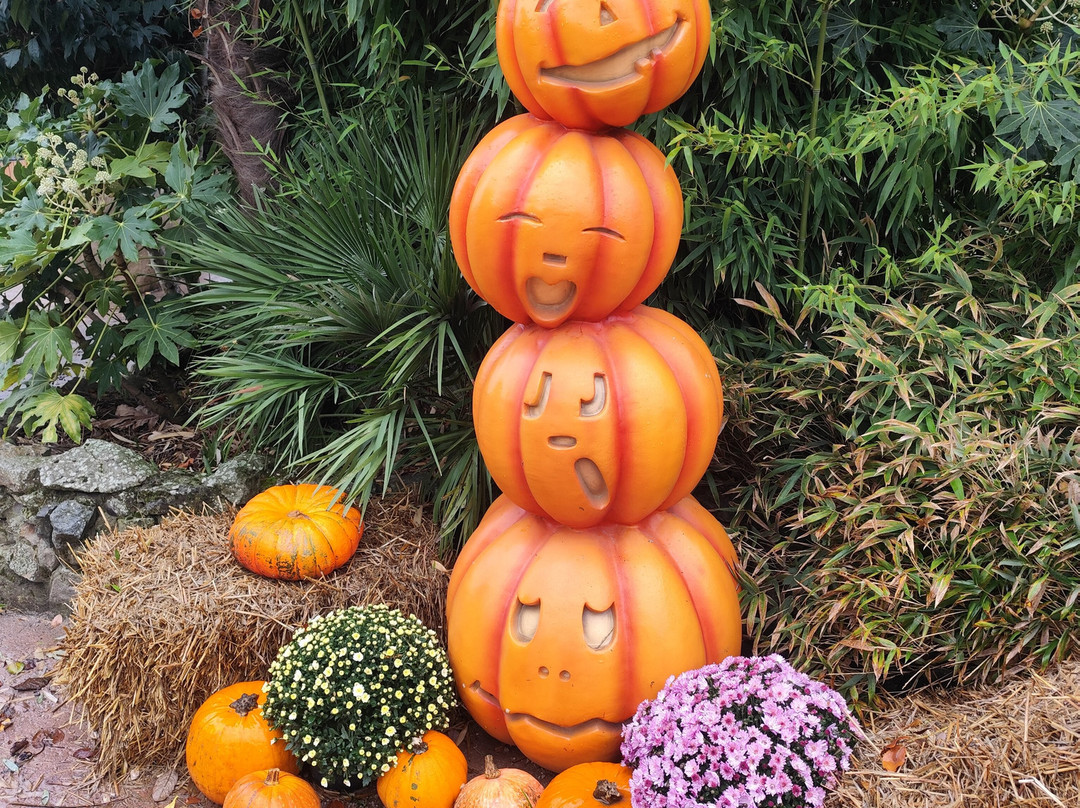 Jungle City-图尔奈必去景点