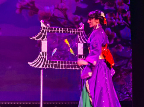 Moscow State Theatre of Illusion-莫斯科必去景点