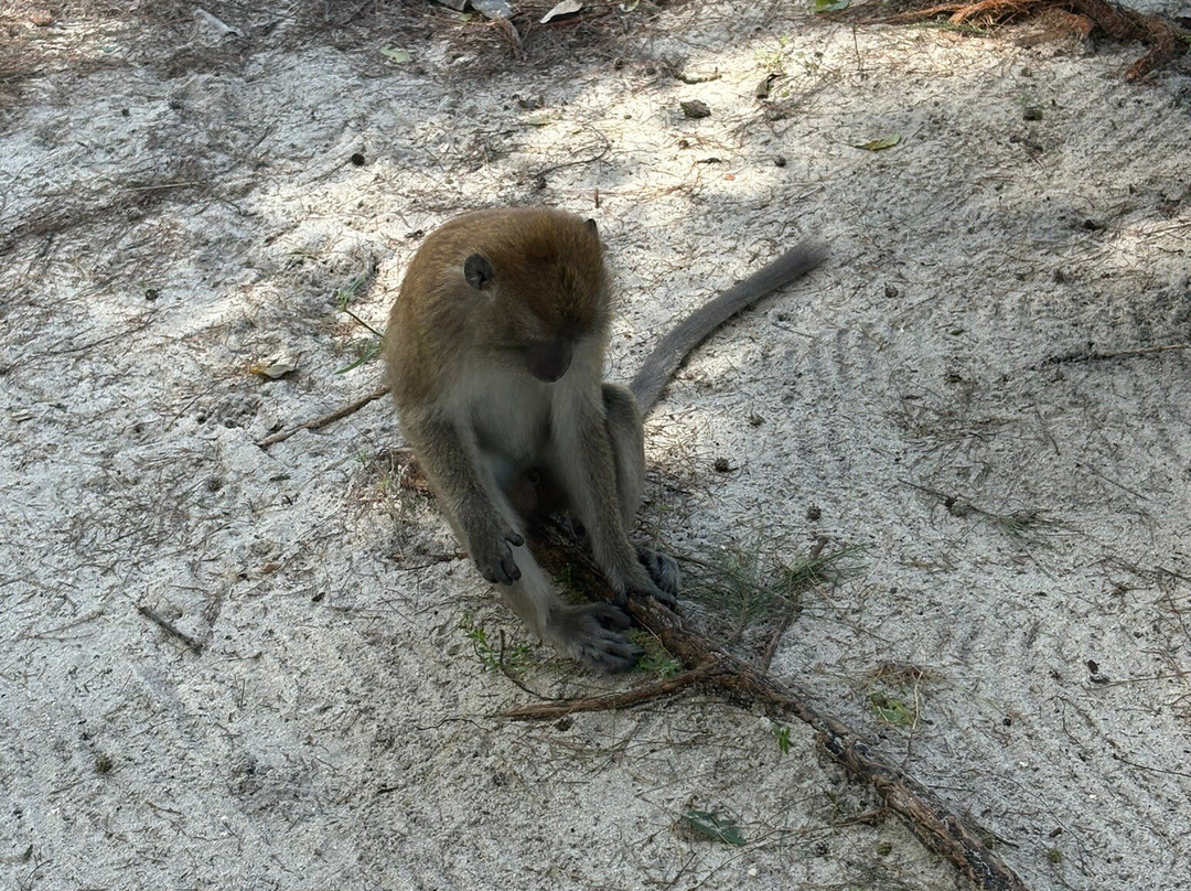 猴子岛-巴巷海滩必去景点