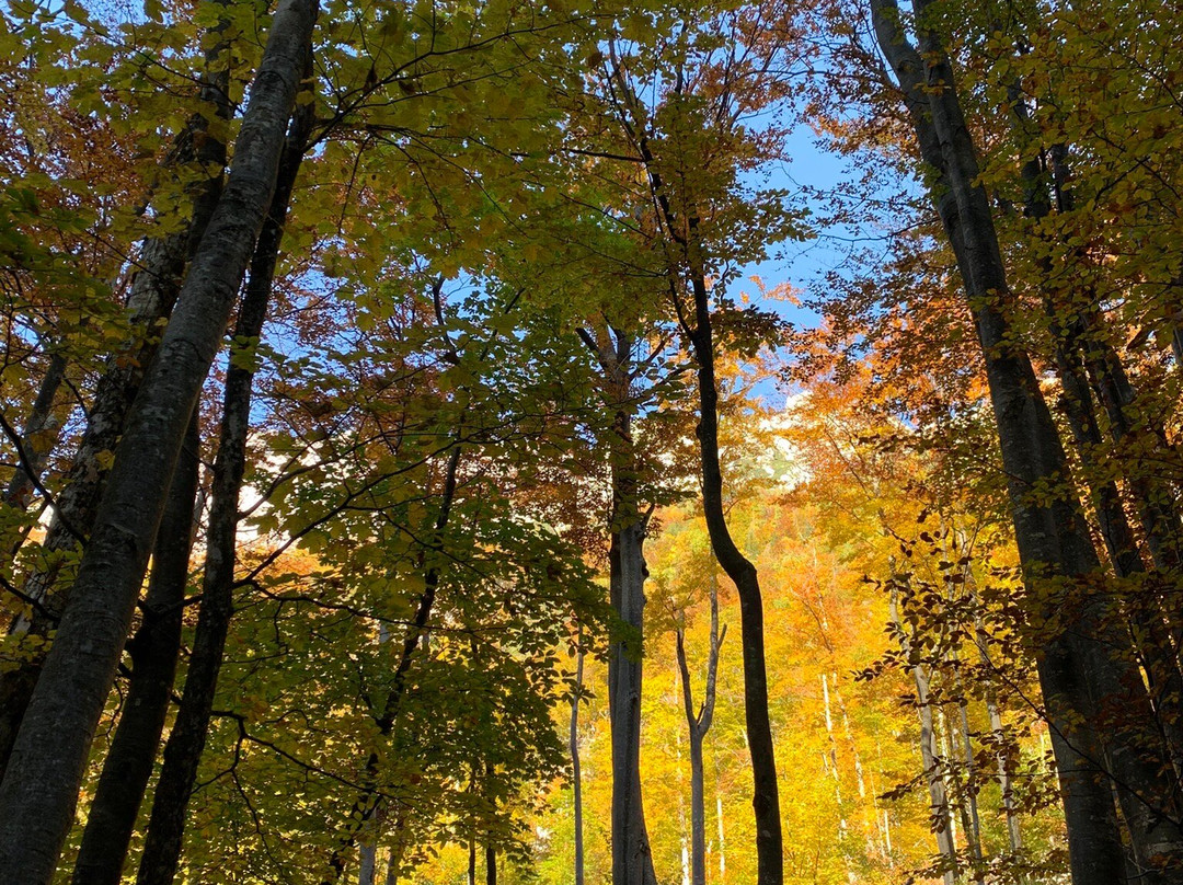 Rinka Waterfall-Solcava必去景点