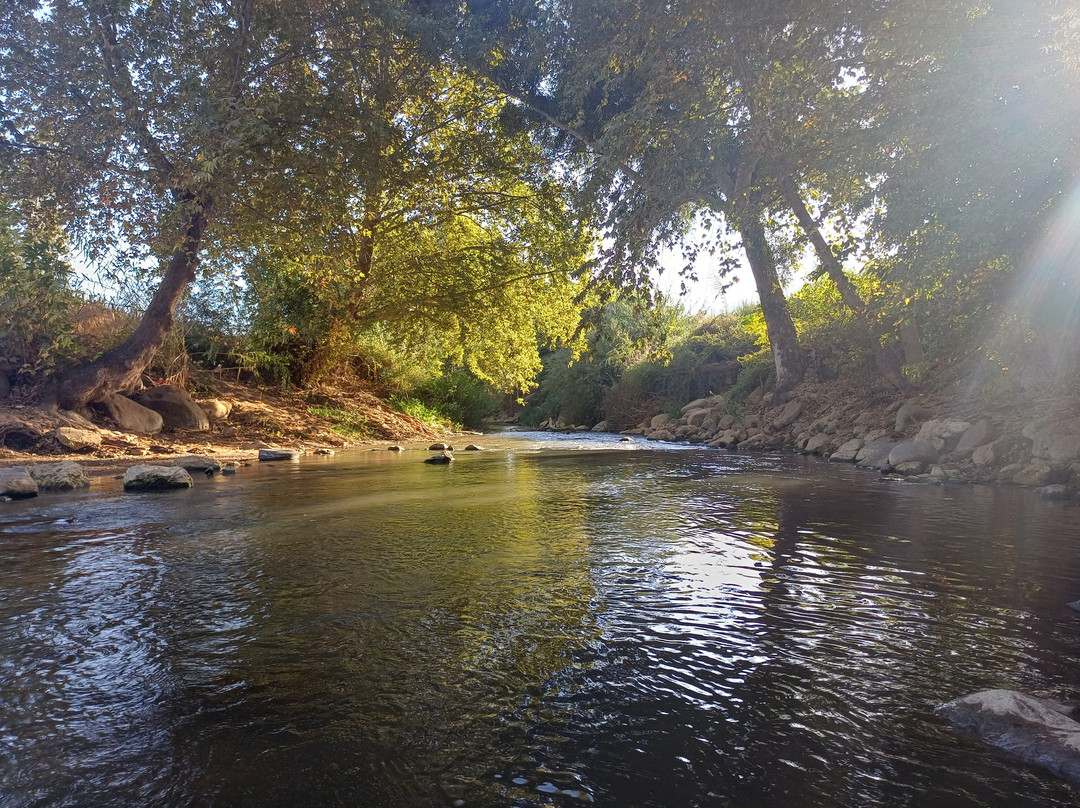 The Village - Jordan Riverside TravelHotel主图