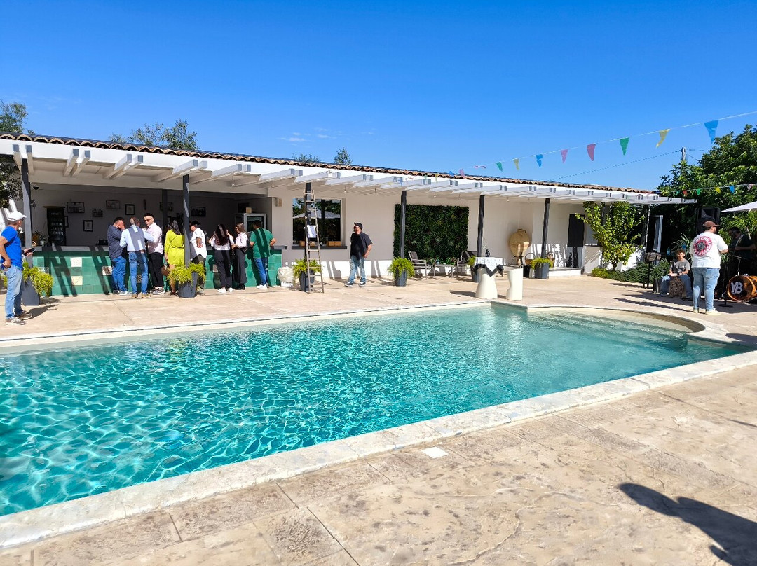 Terre di Zaccanello主图