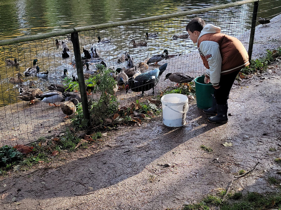 Ferme pedagogique de OUEZY-Ouezy必去景点