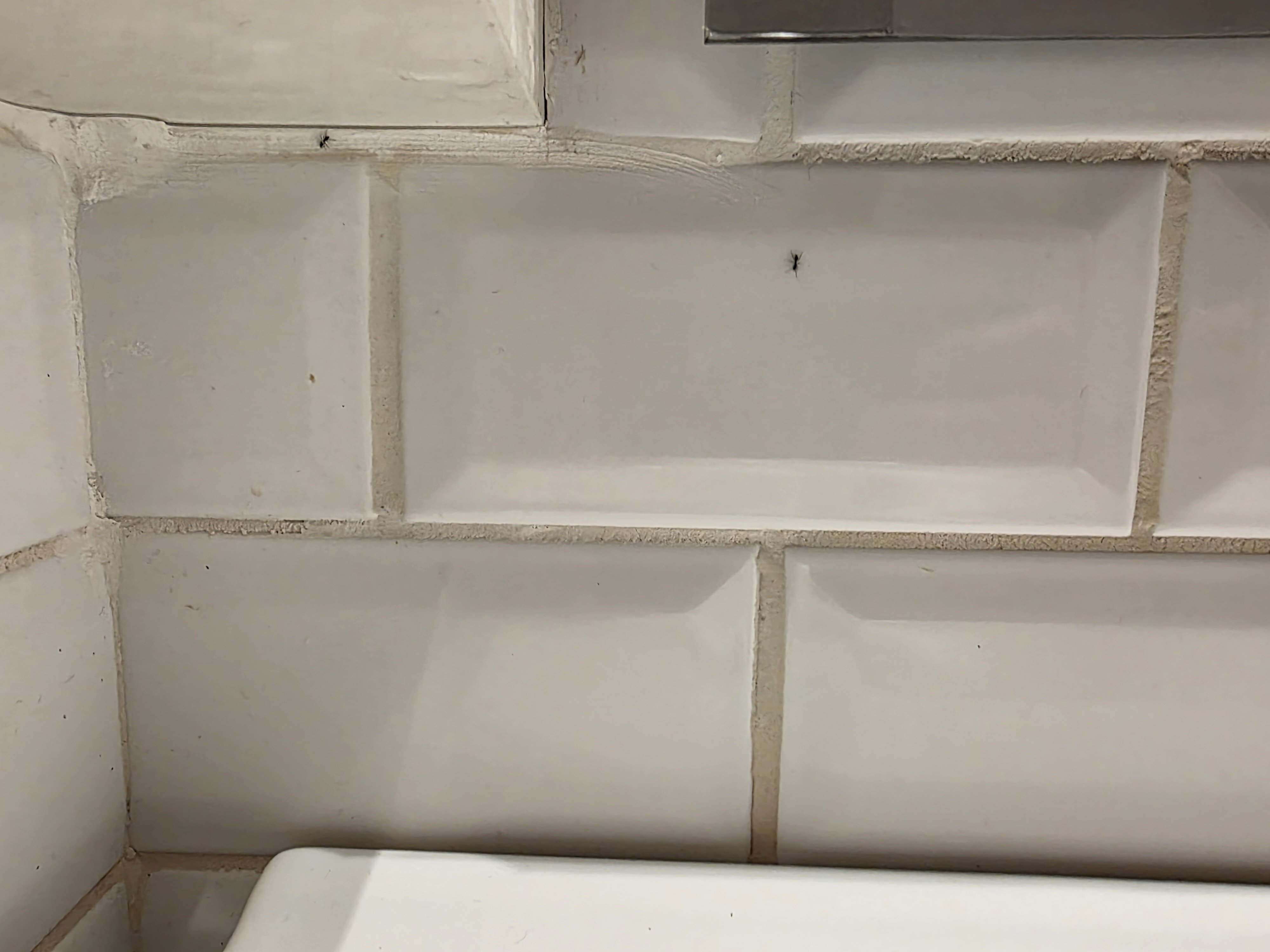 TUI Blue Pascha Bay-浴室