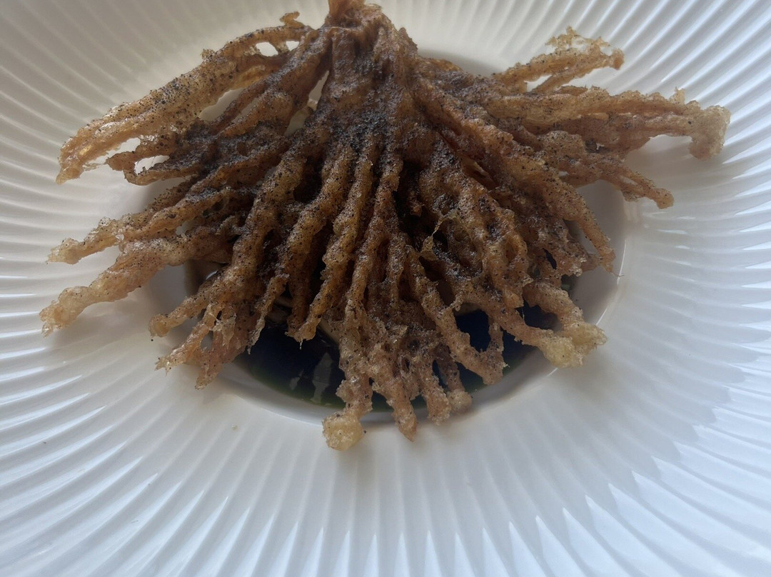 Beechmont Estate主图