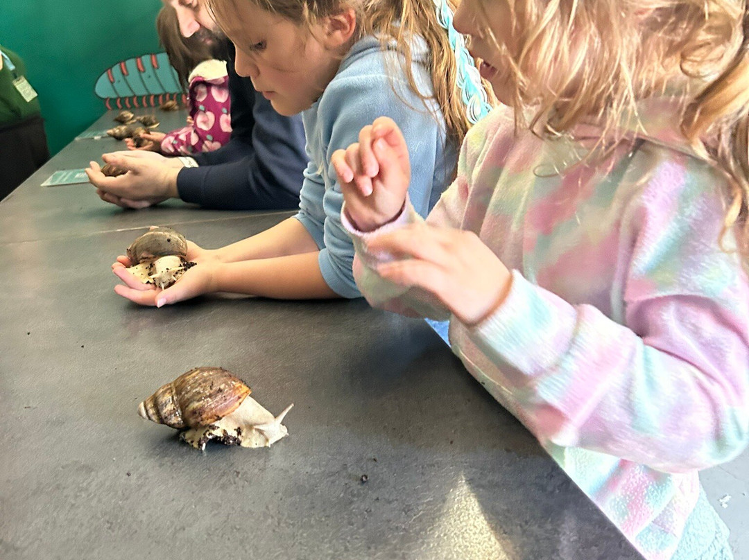 The Bug Parc-Lenwade必去景点