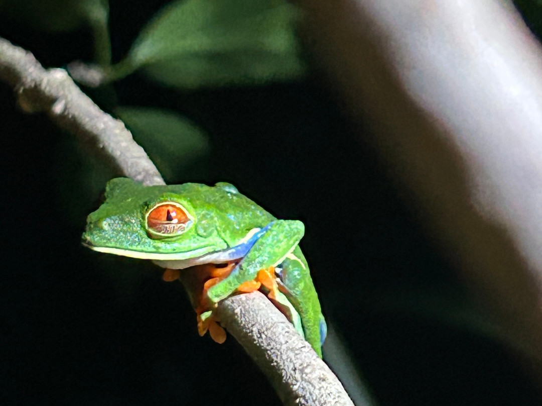 Amazing Vacations Costa Rica-图里亚尔瓦必去景点