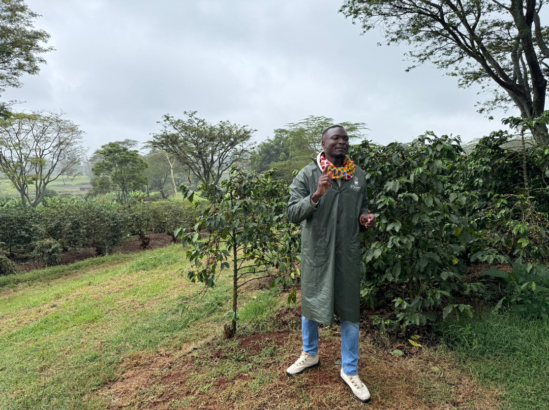 Fairview Coffee Estate-内罗毕必去景点