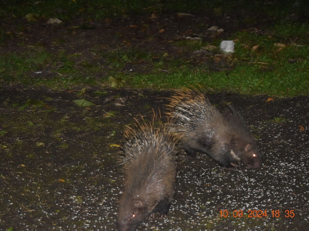 KTDC Periyar House主图