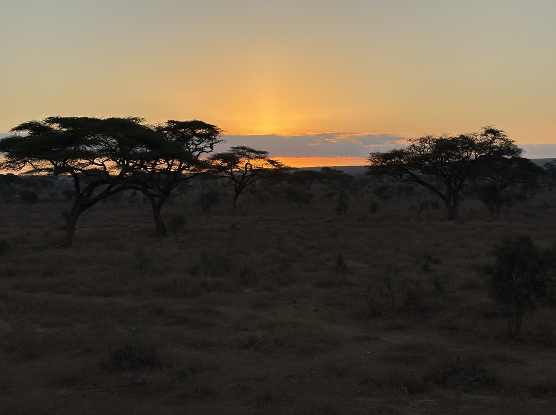 Kilimanjaro Balloon Safaris-安博塞利国家公园必去景点