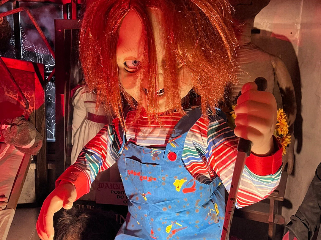 The Museum Of Curiosities-诺丁汉必去景点