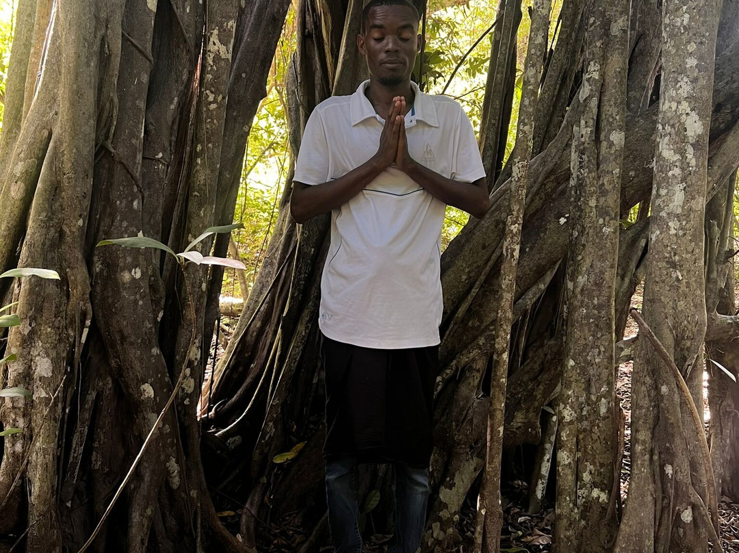 Kaya Kinondo Sacred Forest-迪亚尼必去景点