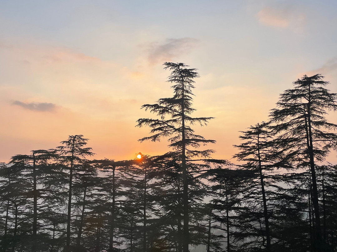 Seclude Shimla Taraview主图