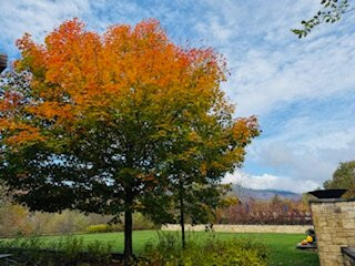 Topnotch Resort主图