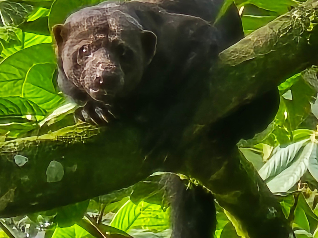 Best of Costa Rica DMC-圣何塞必去景点