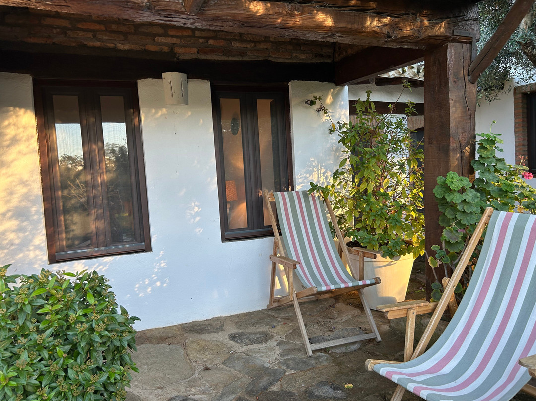 Finca El Azahar主图