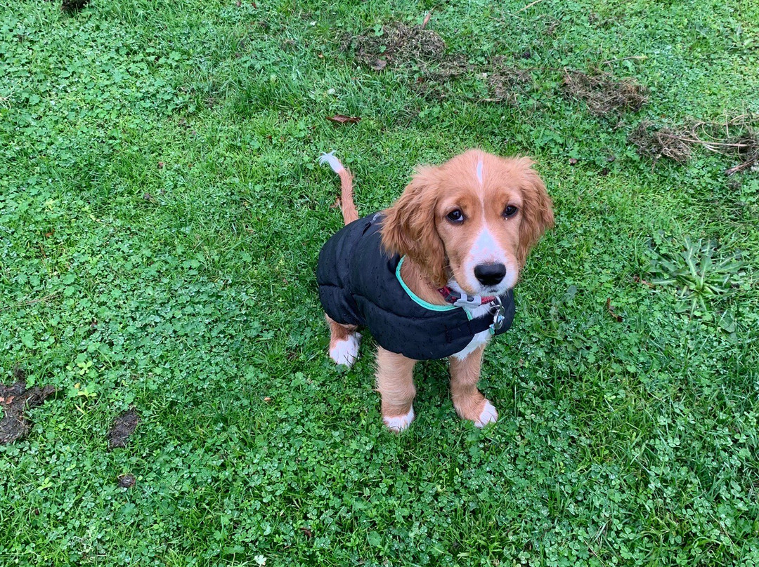 The Imperial Exmouth Hotel主图