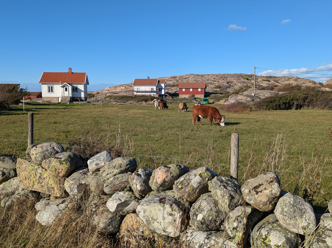 Ramsvikslandet-Hunnebostrand必去景点