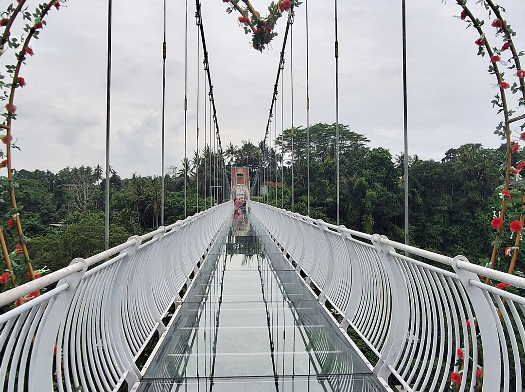 Kirani Bali Tour-罗威那海滩必去景点